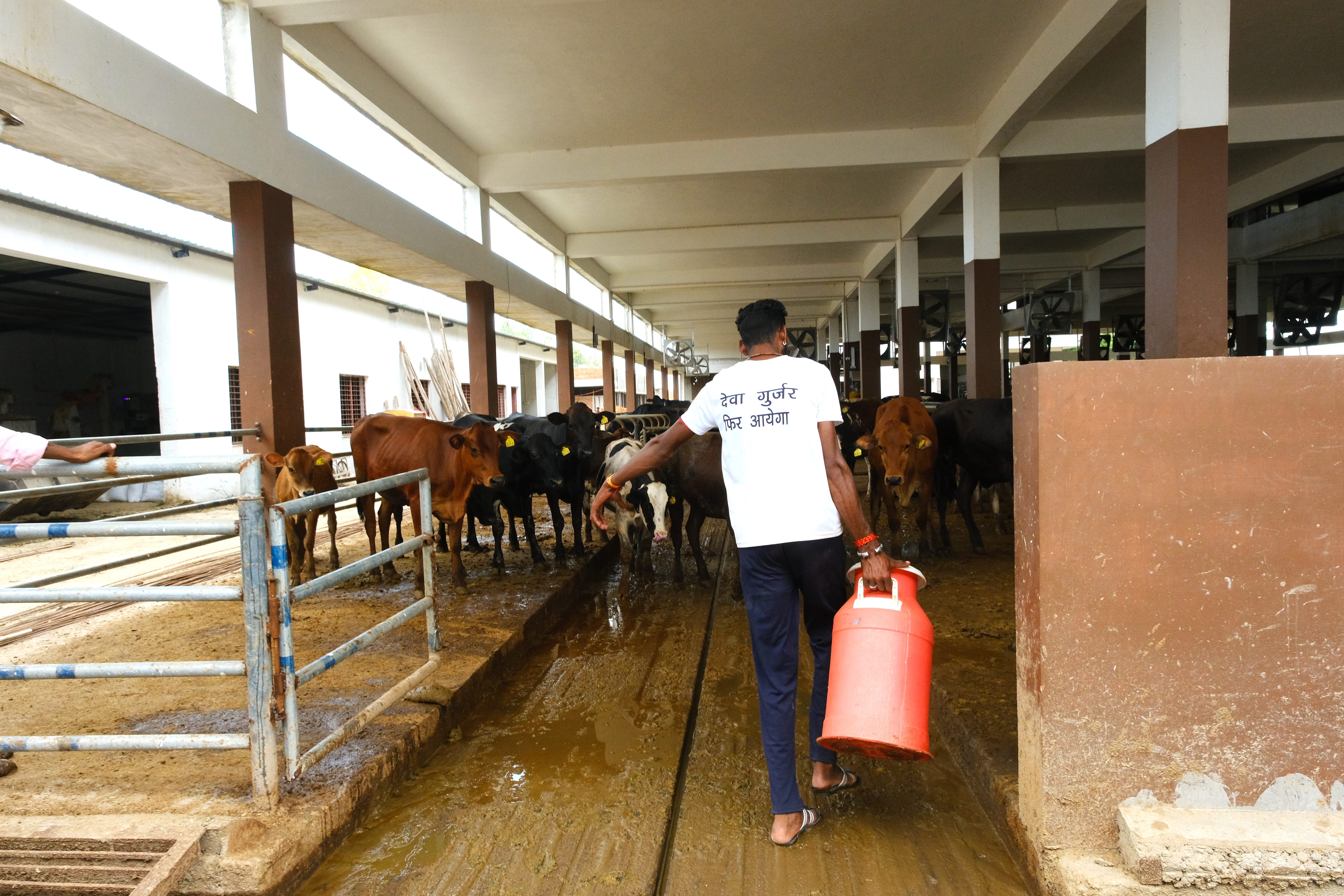 Worker with milk can