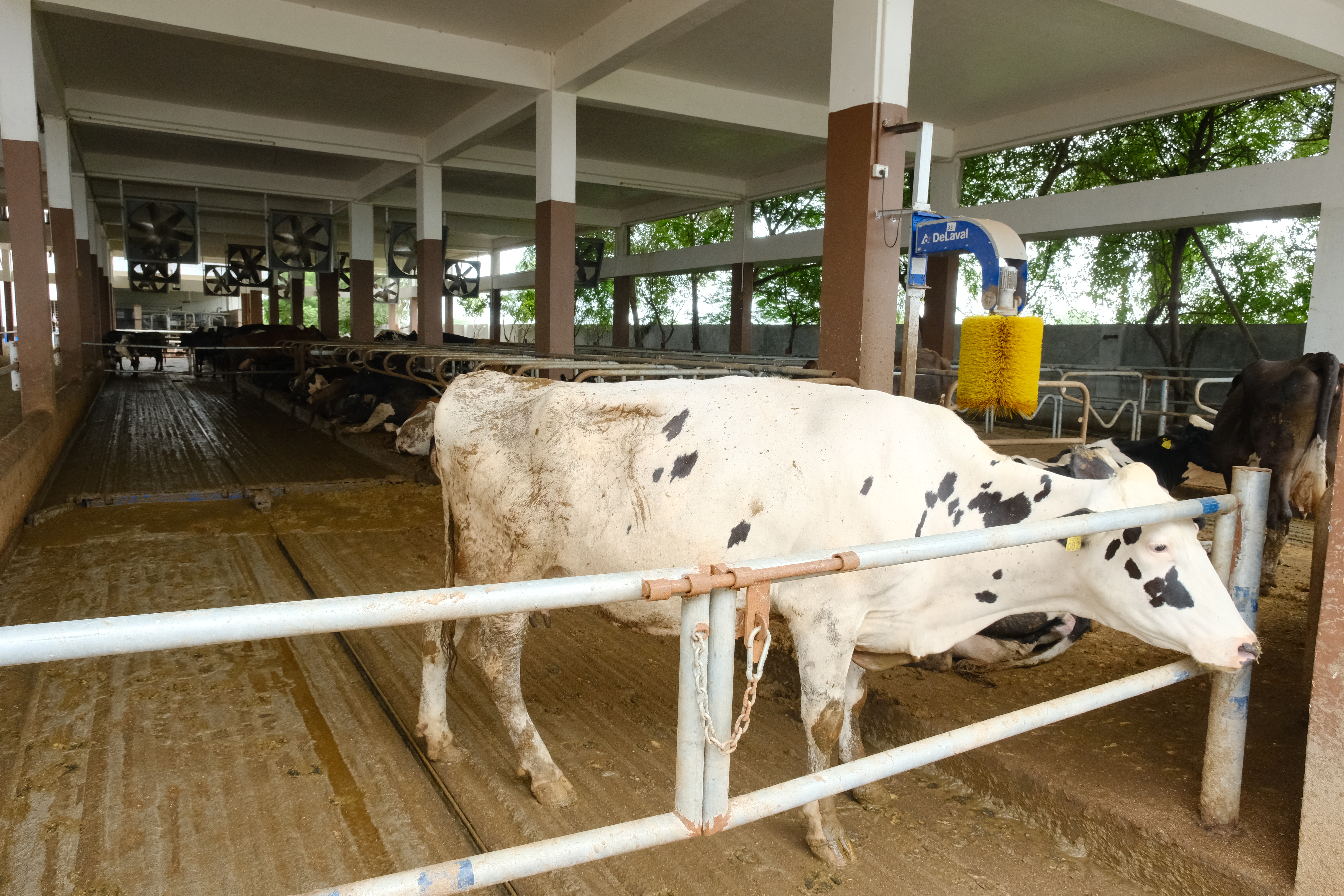 Solar-powered farm