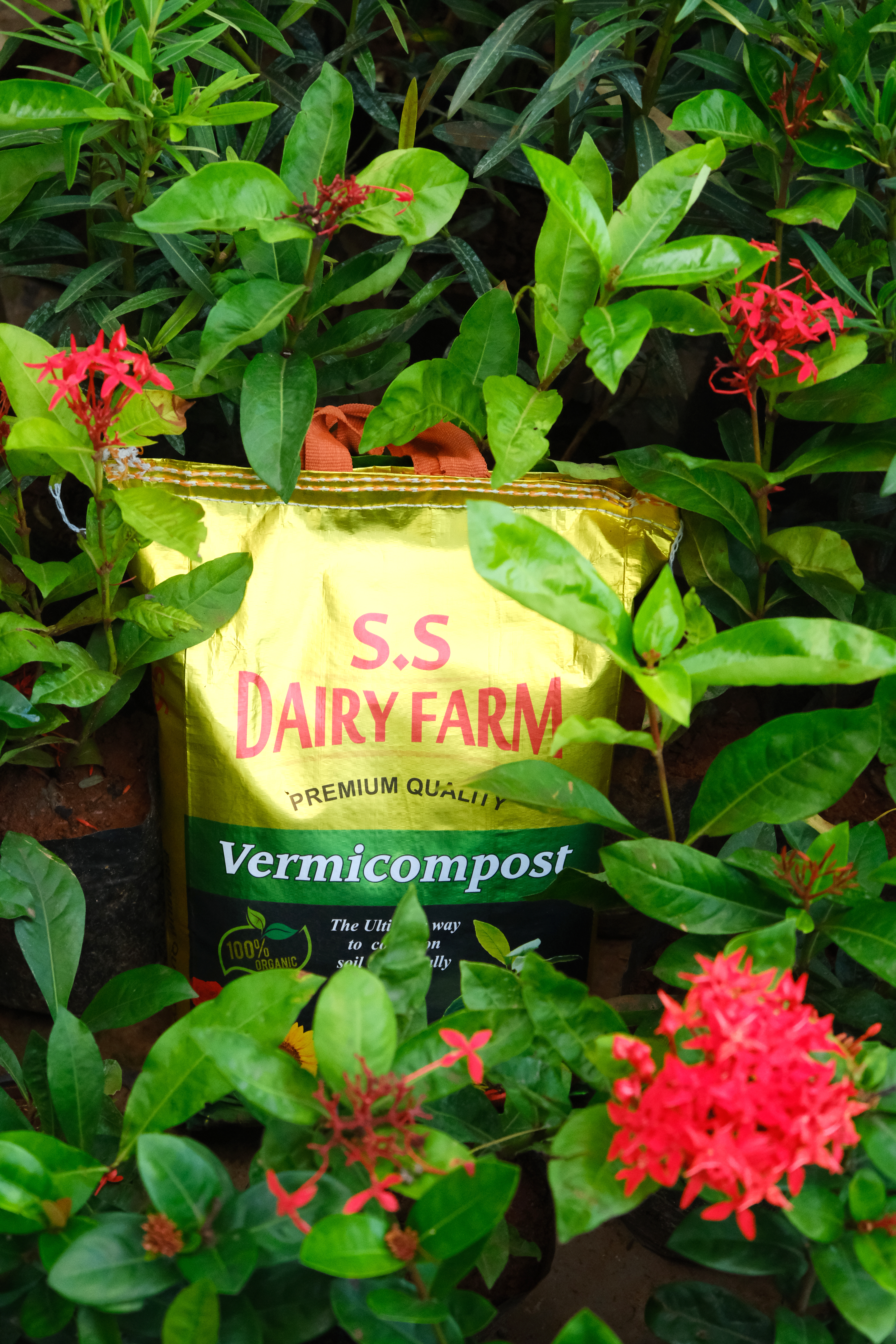 S.S Dairy Farm Vermicompost bag
